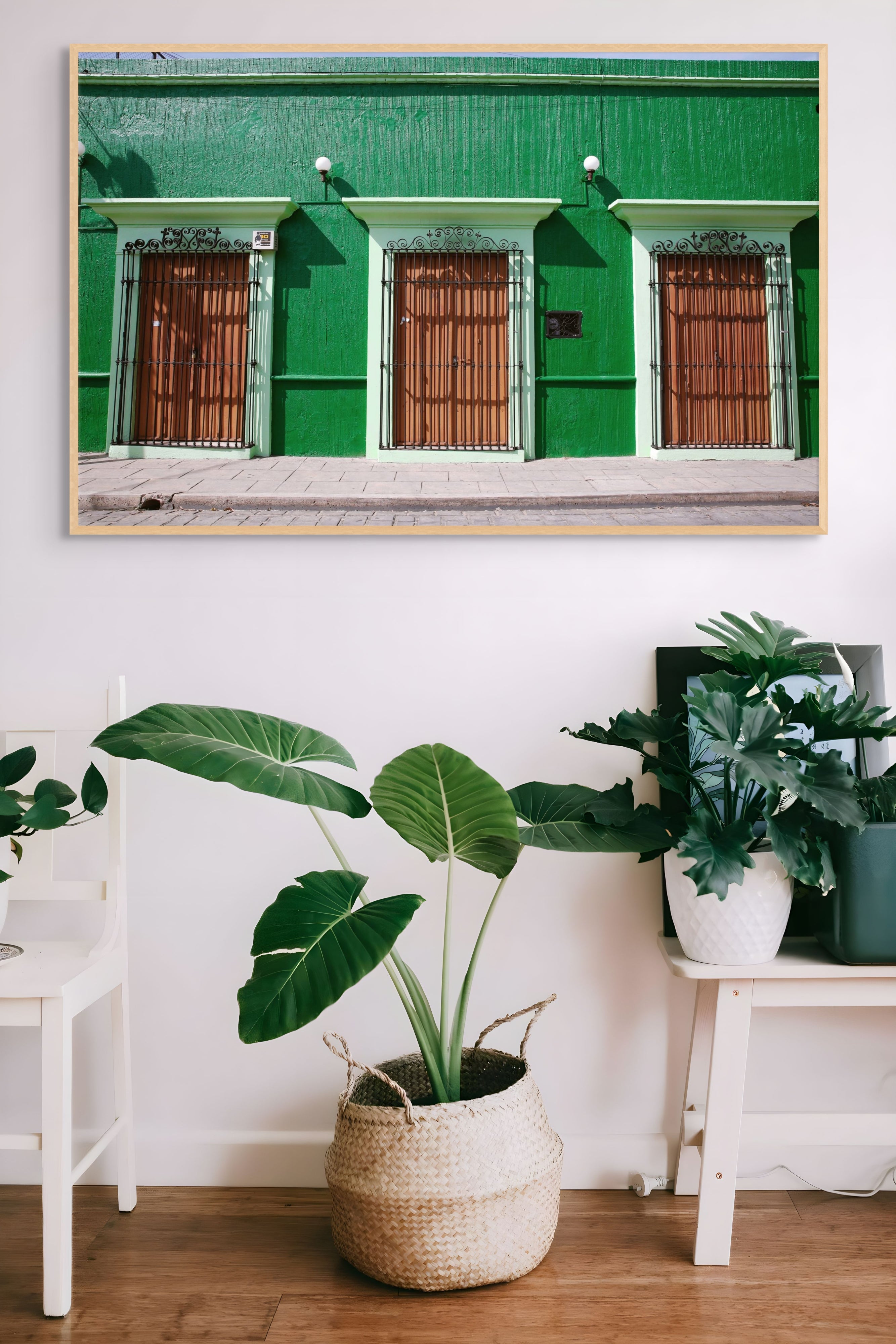 OAXACA VERDE
