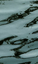 RIPPLES