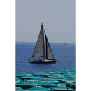 SAILING IN LIGURIAN COAST